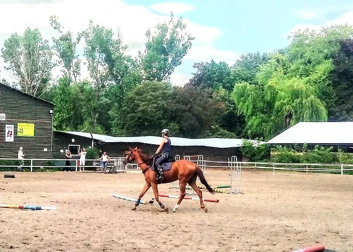 Metro Wilson Apartment