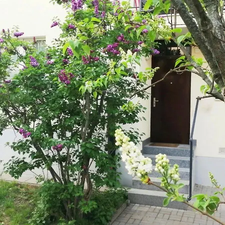 Metro Wilson Apartment *
