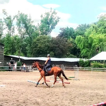 Metro Wilson アパート