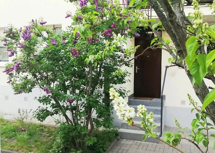 Metro Wilson Διαμέρισμα *